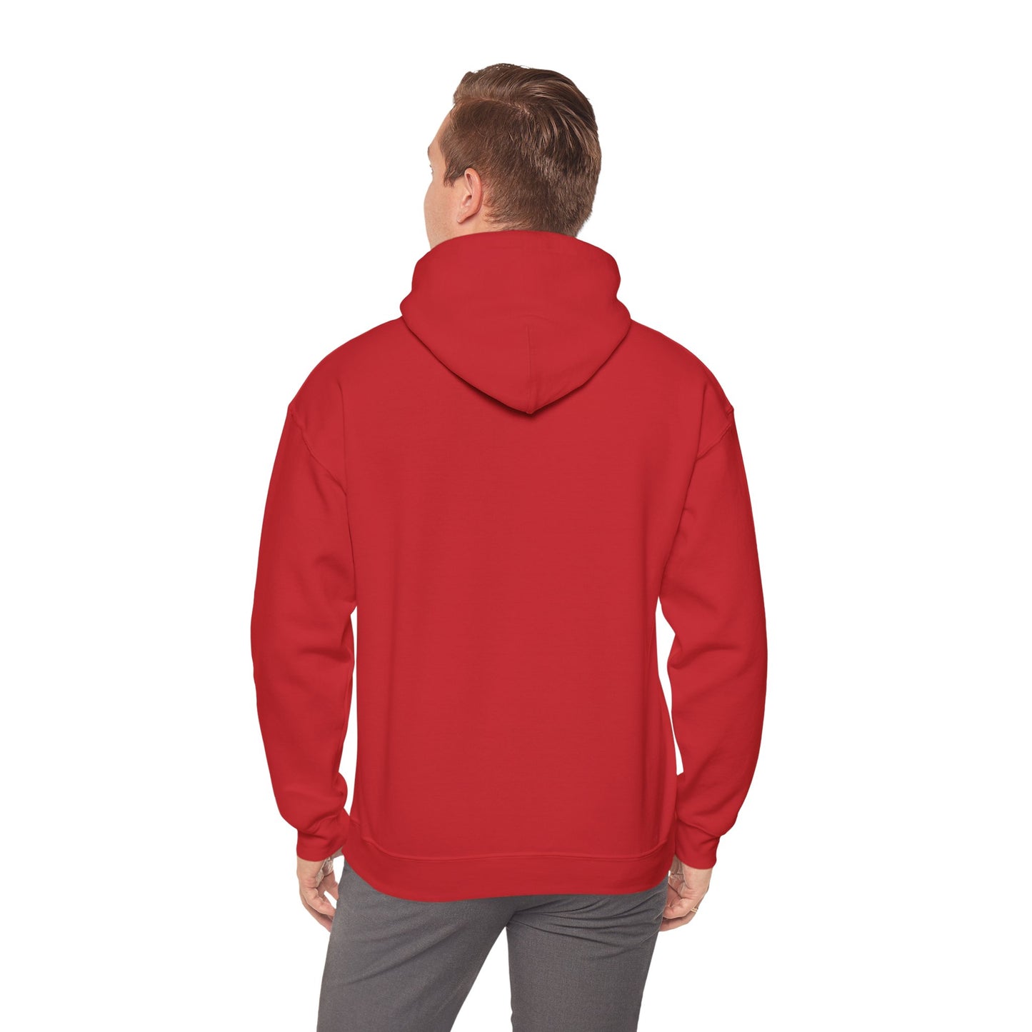 Unisex Hooded Sweatshirt - I will never walk alone