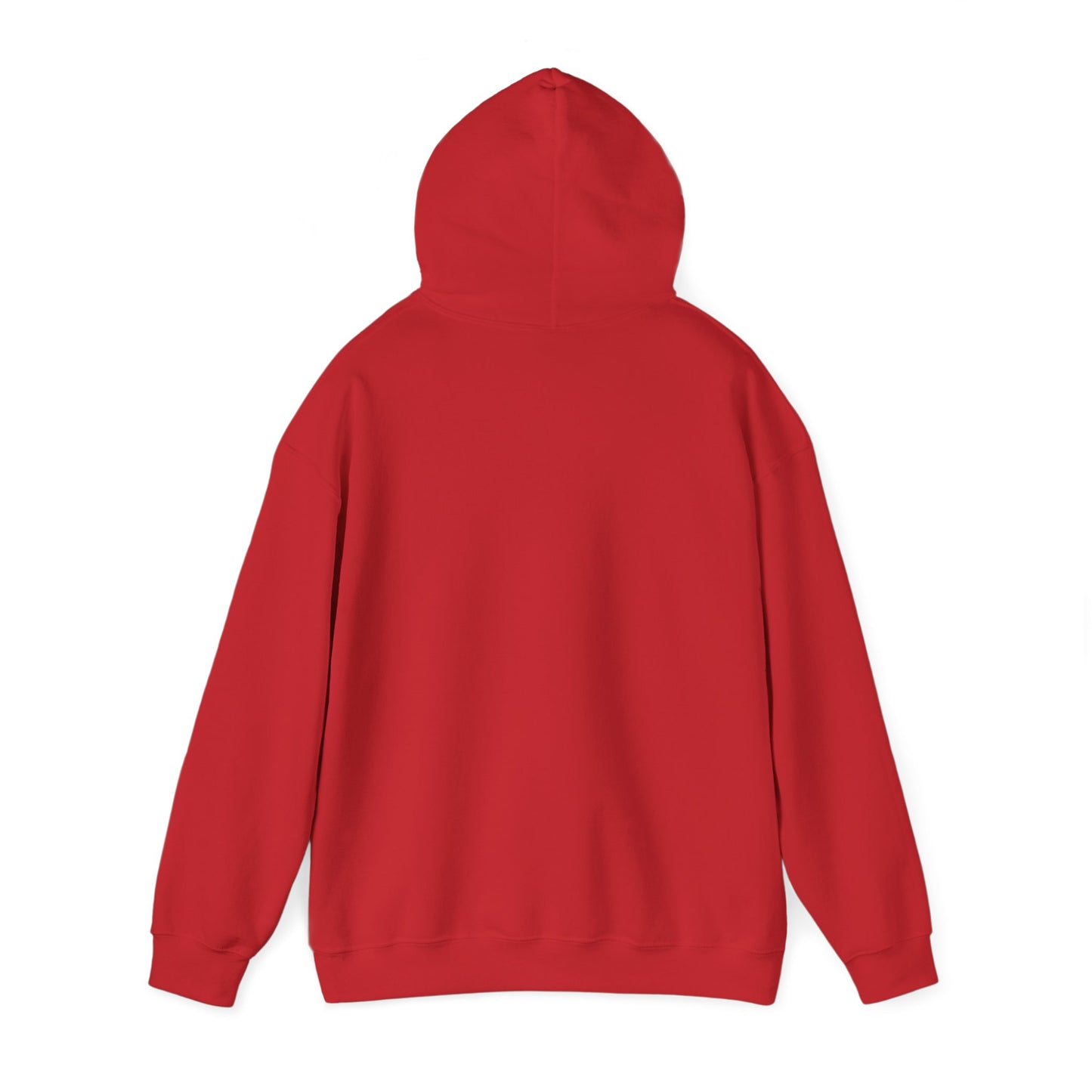 Unisex Hooded Sweatshirt - I will never walk alone