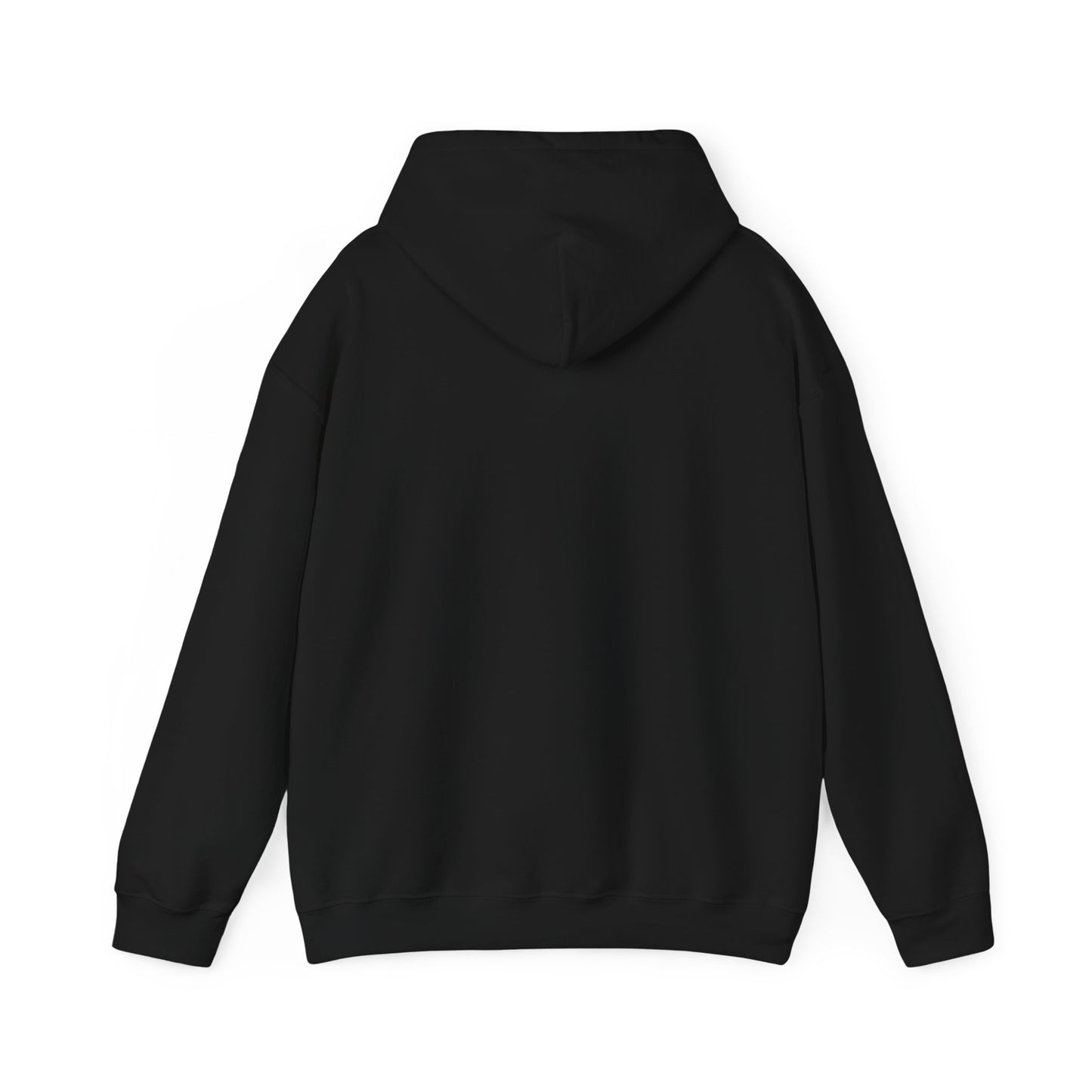 Unisex Hooded Sweatshirt - I will never walk alone