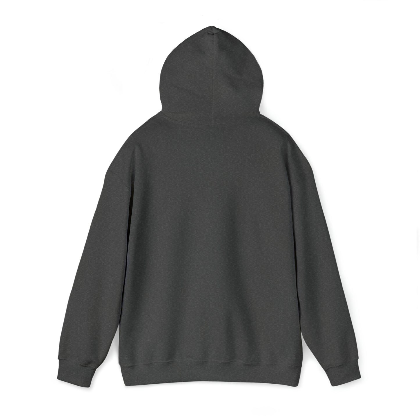 Unisex Hooded Sweatshirt - Guiding Little Steps Towards Big Dreams
