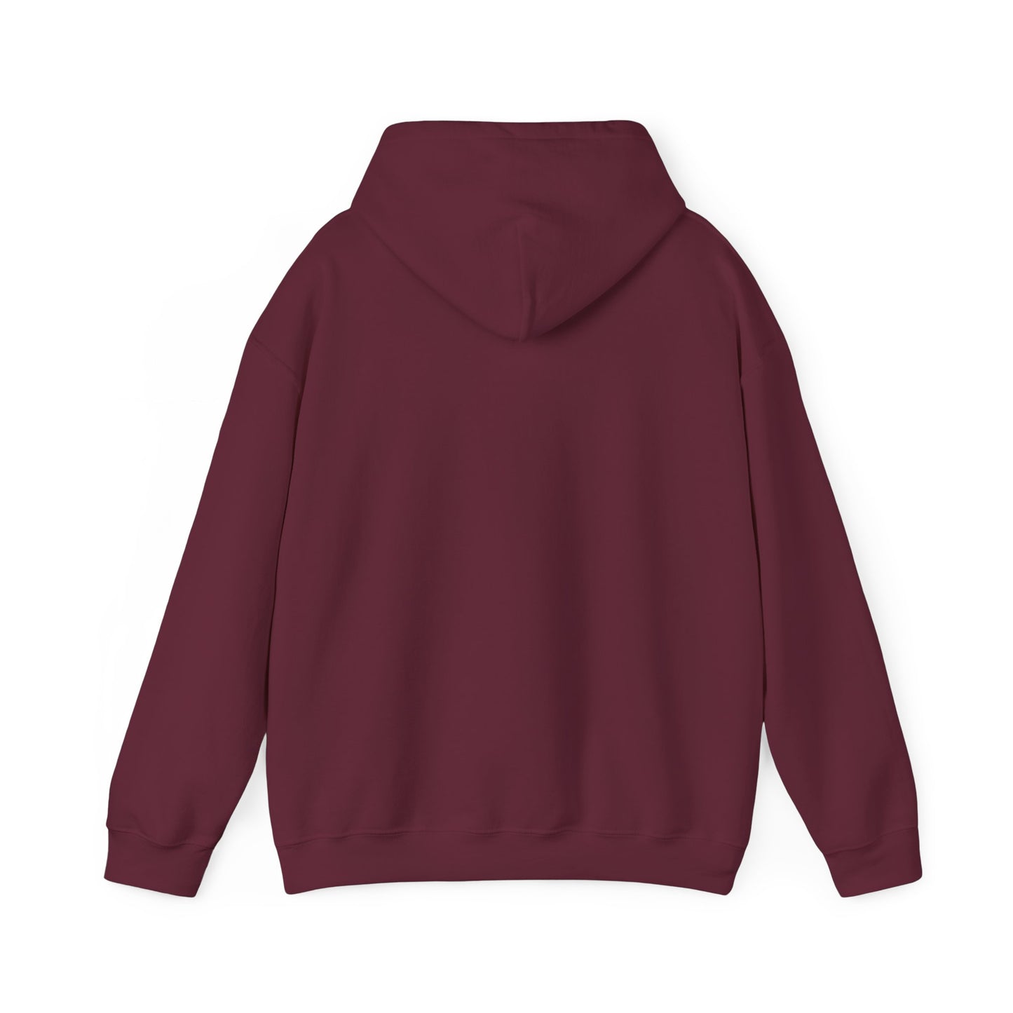 Unisex Hooded Sweatshirt - I will never walk alone