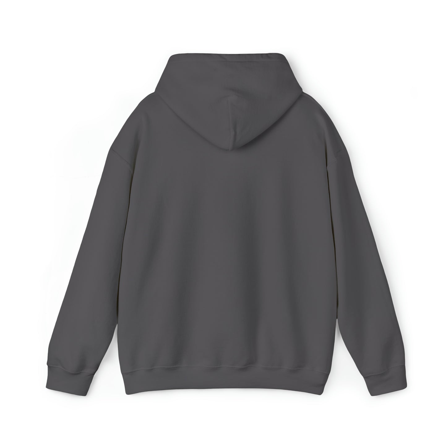 Unisex Hooded Sweatshirt - Guiding Little Steps Towards Big Dreams