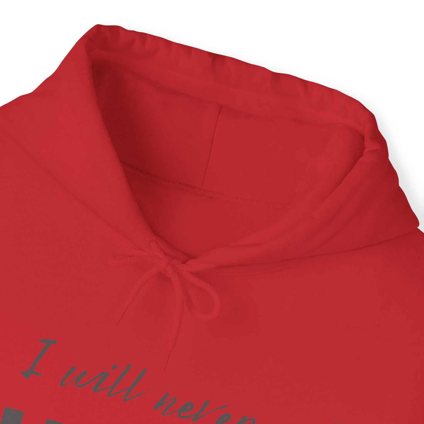 Unisex Hooded Sweatshirt - I will never walk alone