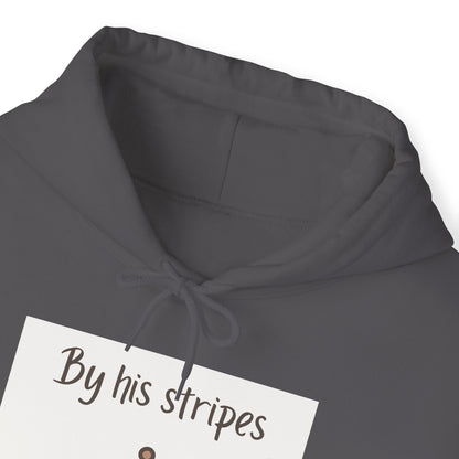 Unisex Hooded Sweatshirt - By His stripes I was healed