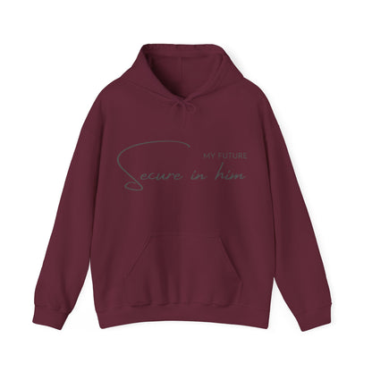 Unisex Hooded Sweatshirt - My future secure in Him