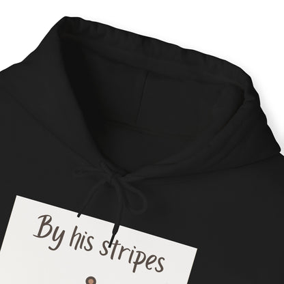 Unisex Hooded Sweatshirt - By His stripes I was healed