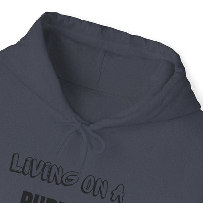 Unisex Hooded Sweatshirt - Living on purpose for a purpose