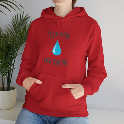 Unisex Hooded Sweatshirt - It’s okay to cry. Even Jesus did!