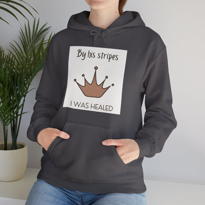 Unisex Hooded Sweatshirt - By His stripes I was healed