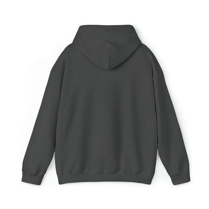 Unisex Hooded Sweatshirt - Guiding Little Steps Towards Big Dreams